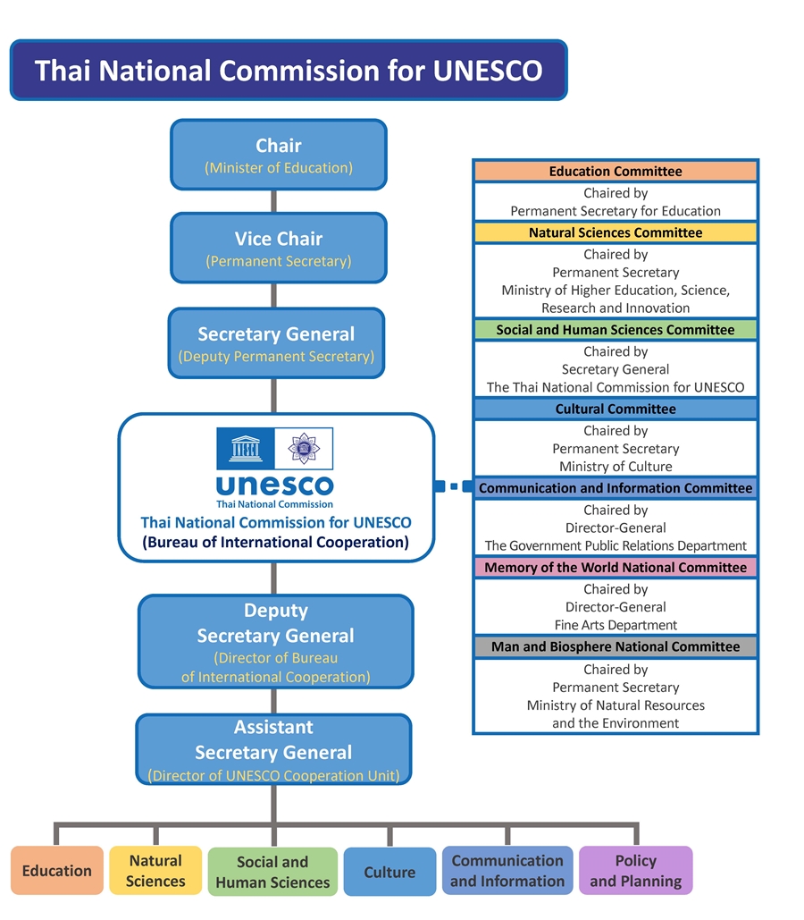 Organization Structure 30 5 2566